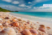 Best Free AI Tools for Beginners in 2026