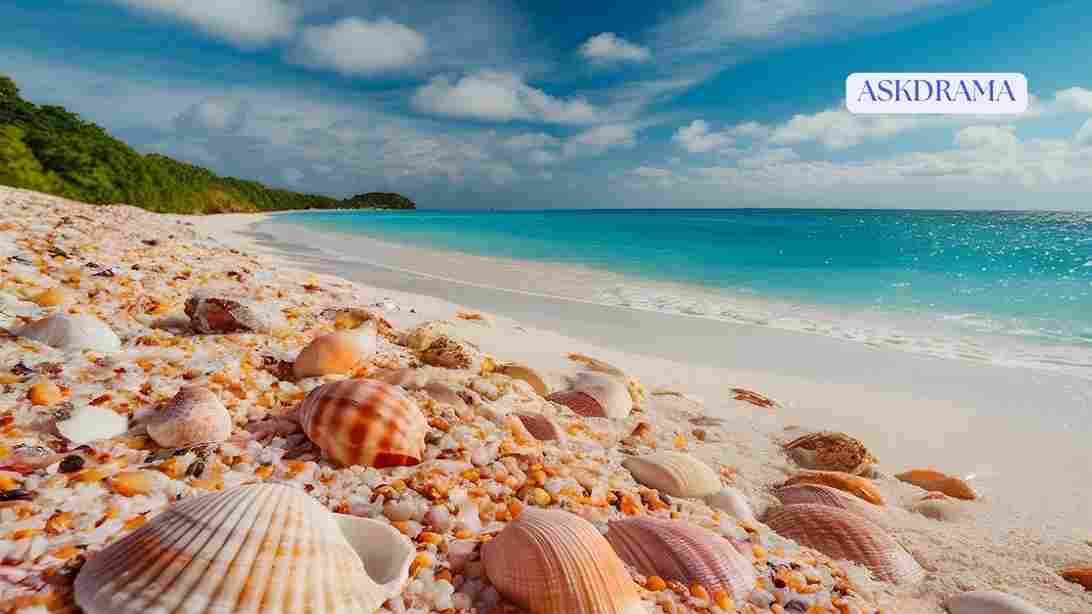 Best Free AI Tools for Beginners in 2026