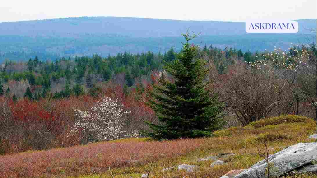 Best SSDs Under $100 in 2026