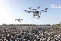 How to Fly a Drone Safely for Beginners