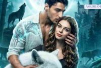 The Alpha's Fated Bride_11zon The Alpha's Fated Bride – Drama Review, Story Summary, and How to Read It Online